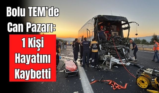 Bolu Geçişinde Feci Kaza: Otobüs Şoförü Hayatını Kaybetti
