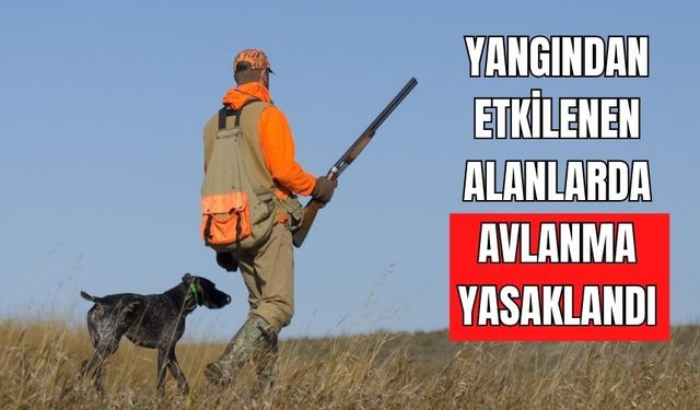 YANGINDAN ETKİLENEN ALANLARDA AVLANMA YASAKLANDI