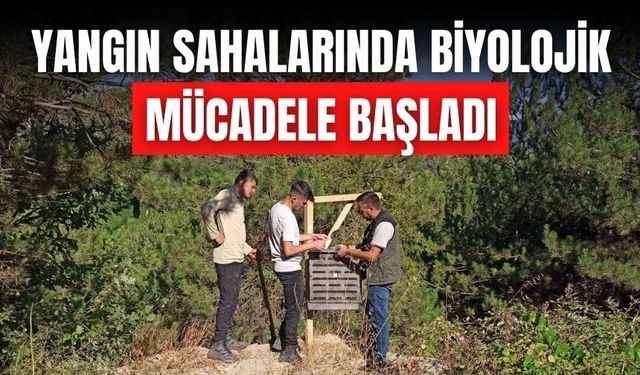 YANGIN SAHALARINDA BİYOLOJİK MÜCADELE BAŞLADI