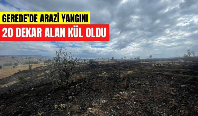 Gerede’de Arazi Yangını: 20 Dekar Alan Kül Oldu