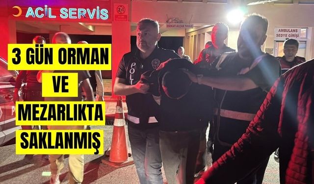Bolu'da Yaylayı Yakan Zanlı, Şehir Sokaklarında Yakalandı