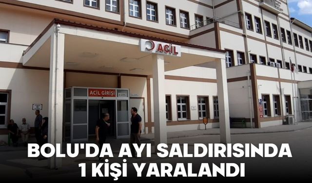 BOLU'DA AYI SALDIRISINDA 1 KİŞİ YARALANDI