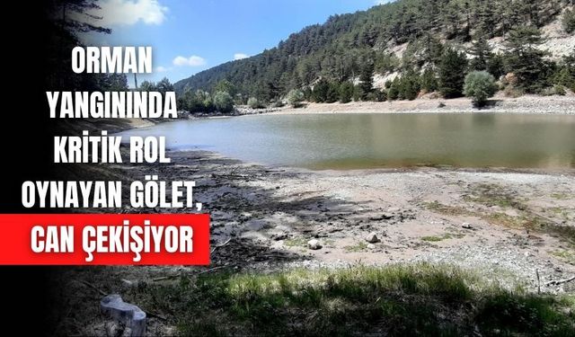 ORMAN YANGININDA KRİTİK ROL OYNAYAN GÖLET, CAN ÇEKİŞİYOR