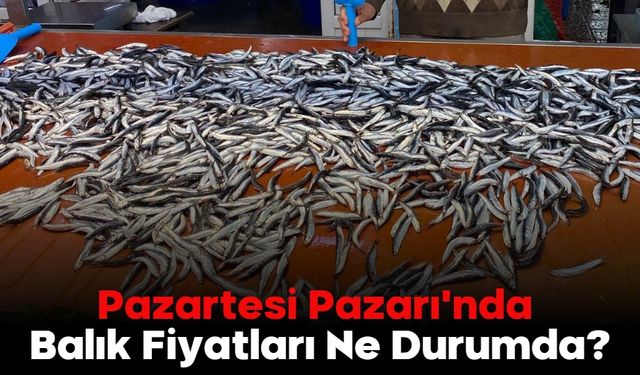 Pazartesi Pazarı'nda Balık Fiyatları Ne Durumda?