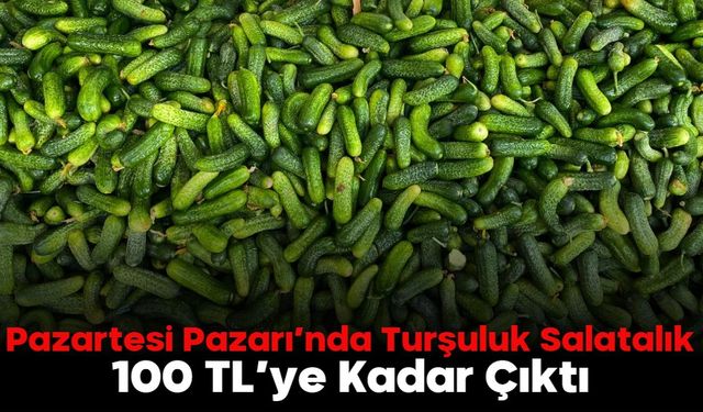 Pazartesi Pazarı’nda Turşuluk Salatalık 100 TL’ye Kadar Çıktı