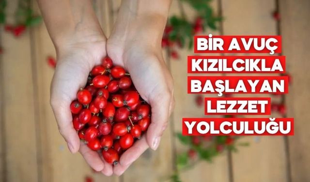 BOLU’NUN ŞİFASI KIZILCIKTAN YENİ TATLAR DOĞDU