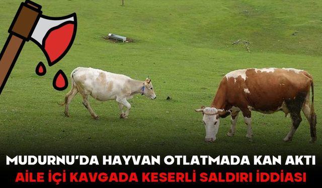 Mudurnu’da hayvan otlatmada kan aktı:  AİLE İÇİ KAVGADA KESERLİ SALDIRI İDDİASI