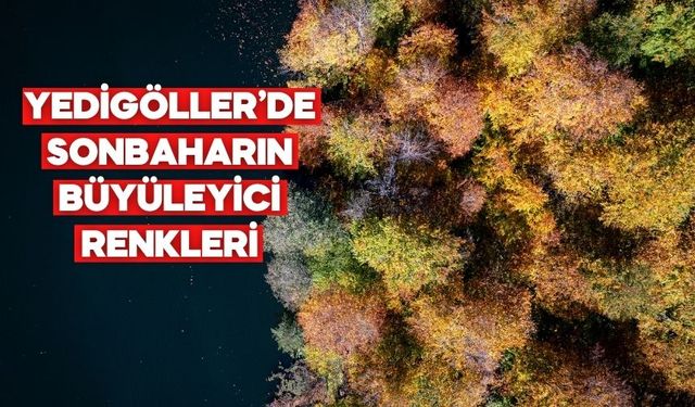 Yedigöller Milli Parkı sonbahar renklerine büründü | Bolu’nun orman denizi havadan görüntülendi