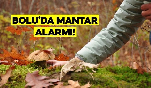 Bolu’da Mantar Zehirlenmesi Vakaları Neden Arttı? Sağlık Müdürlüğü Açıkladı