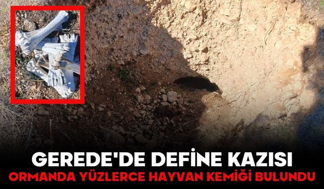 GEREDE'DE DEFİNE KAZISI!  ORMANDA YÜZLERCE HAYVAN KEMİĞİ BULUNDU