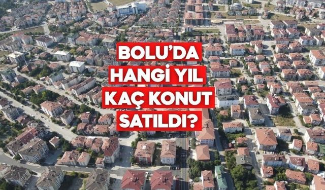 Bolu’da Hangi Yıl Kaç Konut Satıldı? 2013–2025 Verileri Açıklandı
