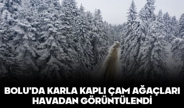 BOLU'DA KARLA KAPLI ÇAM AĞAÇLARI HAVADAN GÖRÜNTÜLENDİ