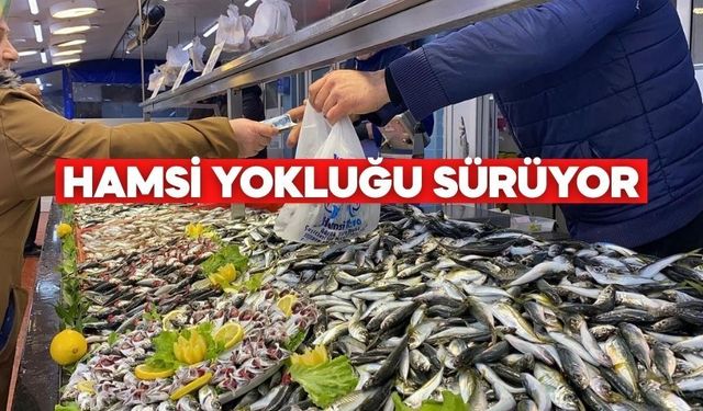 Bolu’da Balık Tezgâhlarında Hamsi Hasreti Sürüyor