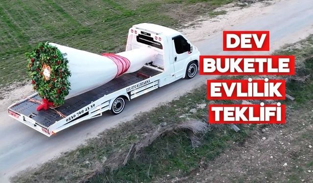 Mudurnu Bu Çapta Çiçek Görmedi!