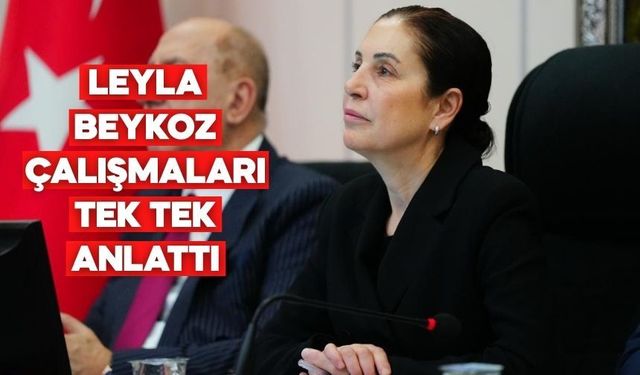 Bolu Kent Konseyi 1 Yılda Neler Yaptı?