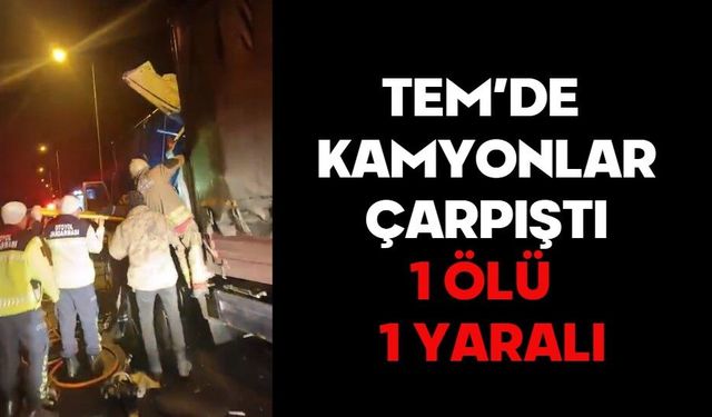 TEM’DE KAMYONLAR ÇARPIŞTI: 1 ÖLÜ, 1 YARALI