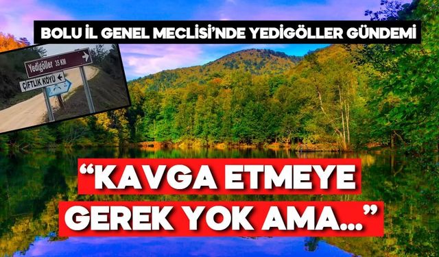 Yedigöller Üzerinden Bolu-Düzce Hattında Dikkat Çeken Gelişme