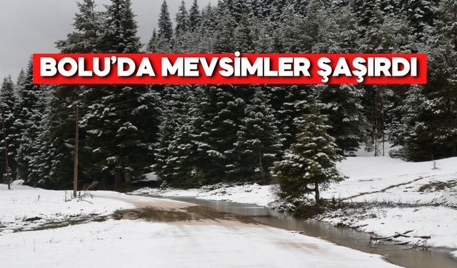 Nisan’da Kar Şoku! Bolu’da Kış Geri Döndü
