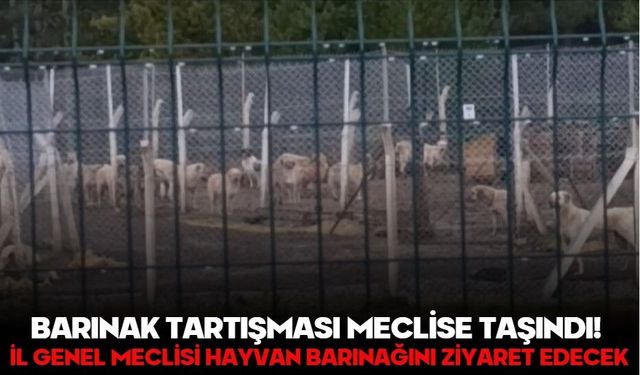 BARINAK TARTIŞMASI MECLİSE TAŞINDI! İL GENEL MECLİSİ HAYVAN BARINAĞINI ZİYARET EDECEK