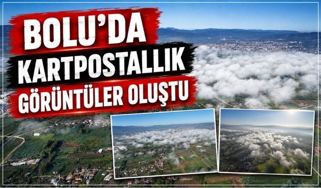 Bolu'da Tarım Arazileri Sisle Birlikte Masalsı Görünüme Büründü