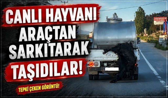 Bolu-Bilecik Yolunda Pes Dedirten Taşıma Şekli