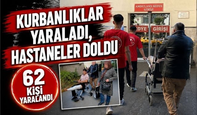 Bolu'da “Acemi Kasaplar” Hastanelik Oldu: 62 Kişi Yaralandı