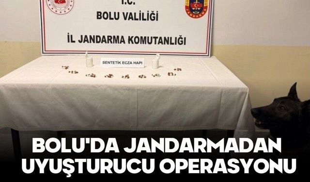 Bolu'da jandarmadan uyuşturucu operasyonu