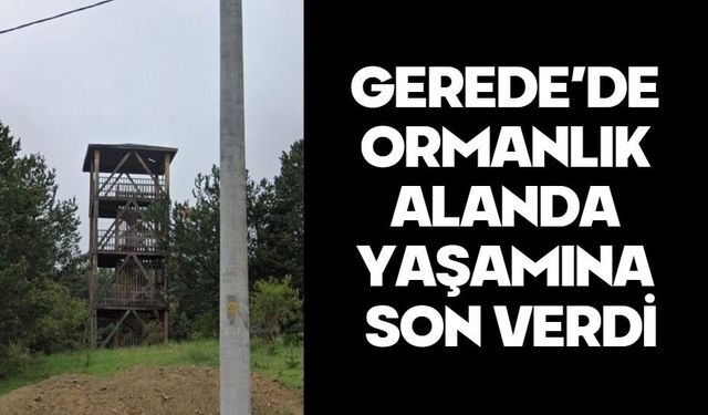 Gerede’de ormanlık alanda yaşamına son verdi