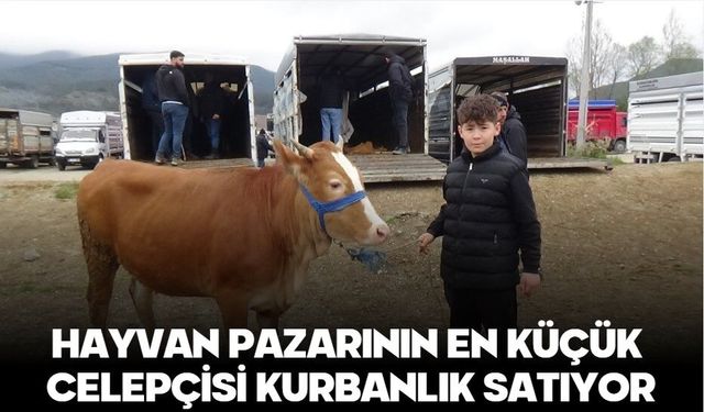 HAYVAN PAZARININ EN KÜÇÜK CELEPÇİSİ KURBANLIK SATIYOR