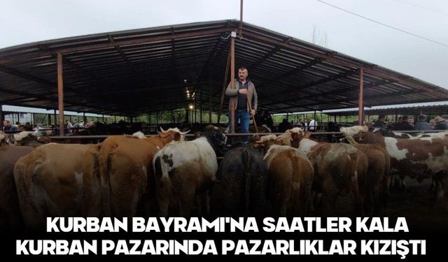 Kurban Bayramı'na saatler kala kurban pazarında pazarlıklar kızıştı
