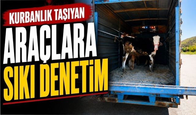Bolu’da Kurbanlık Sevkine Sıkı Takip