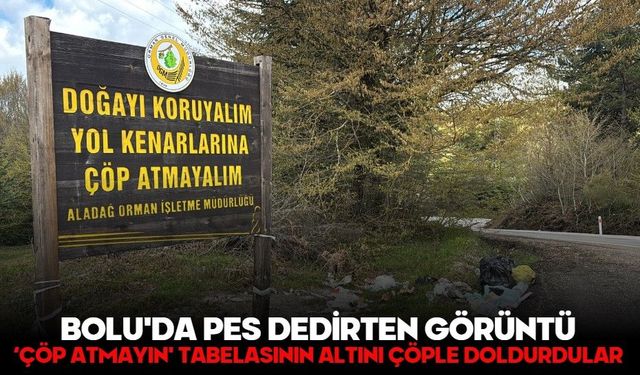 Bolu'da pes dedirten görüntü: ‘Çöp atmayın' tabelasının altını çöple doldurdular