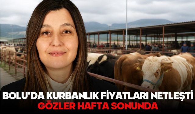 BOLU’DA KURBANLIK FİYATLARI NETLEŞTİ, GÖZLER HAFTA SONUNDA
