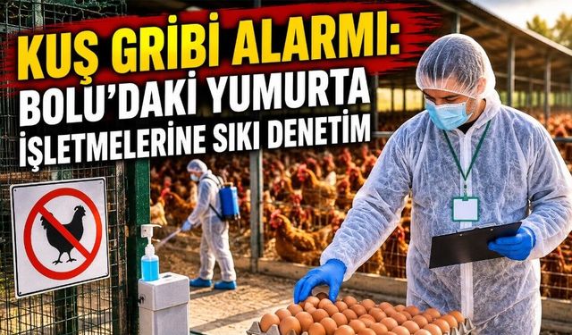 Kuş Gribi Alarmı: Bolu’daki Yumurta İşletmelerine Sıkı Denetim