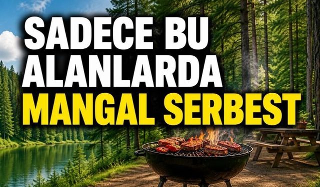 Bolu'da Piknik Yapacaklar Dikkat! İşte İzin Verilen Alanlar