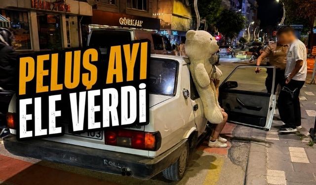 Önce Peluş Ayı Dikkat Çekti, Sonrası Pahalıya Mal Oldu