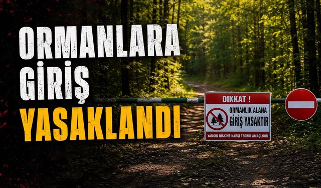 Bolu'da Ormanlara Girişler Yasaklandı