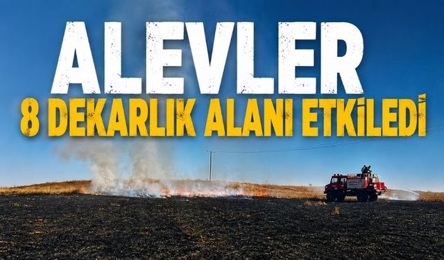 Bolu'da Elektrik Direğinden Çıkan Yangın Araziye Sıçradı