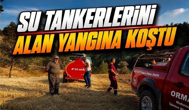 Bolu'da Köylüler Seferber Oldu, Ormanı Alevlerden Kurtardı