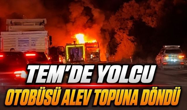 Çaydurt’ta Yolcu Otobüsü Alev Alev Yandı