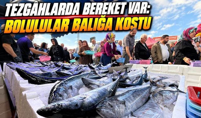 Balık Ucuzladı, Bolu’da Tezgâhların Önü Doldu