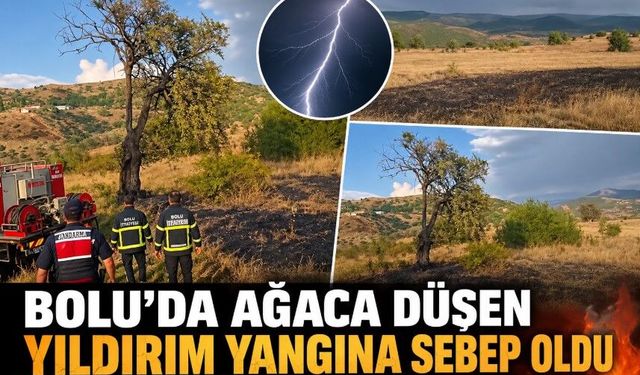 BOLU’DA AĞACA DÜŞEN YILDIRIM YANGINA SEBEP OLDU