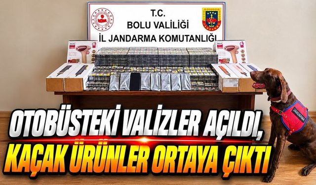 450 Bin Liralık Kaçak Ürün Bolu’da Yakalandı
