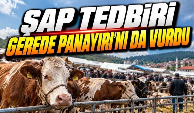 Şap Nedeniyle Bolu’da Hayvan Pazarları Kapatıldı