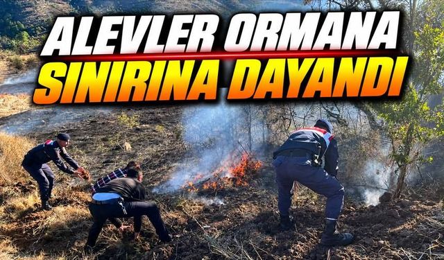 Gerede’de Otluk Alan Alevlere Teslim Oldu