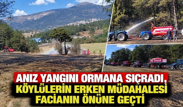 ANIZ YANGINI ORMANA SIÇRADI, KÖYLÜLERİN ERKEN MÜDAHALESİ FACİANIN ÖNÜNE GEÇTİ