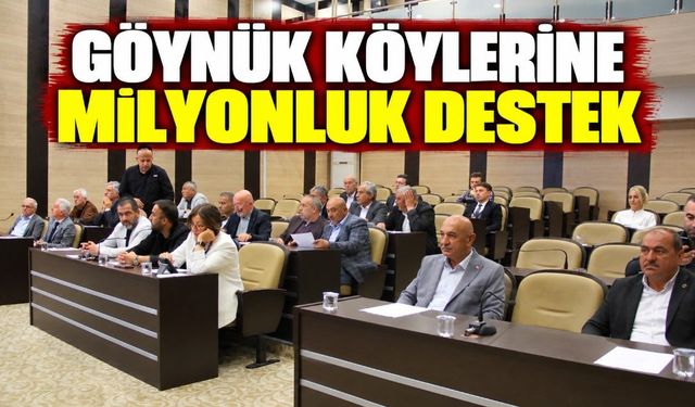 GÖYNÜK KÖYLERİNE MİLYONLUK DESTEK