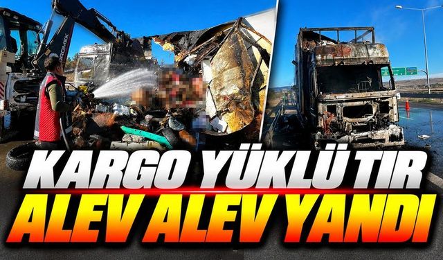 Seyir Halindeki Tır Bir Anda Alevlere Teslim Oldu