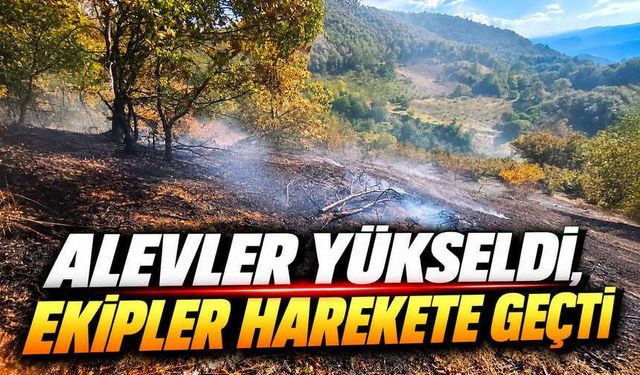 Mudurnu’da Otluk Arazi Alevlere Teslim Oldu