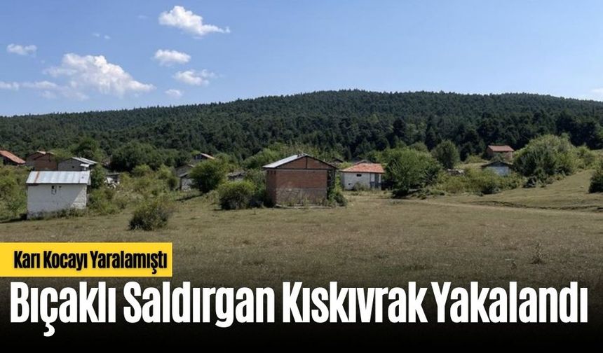 Bıçaklı Saldırgan Kıskıvrak Yakalandı